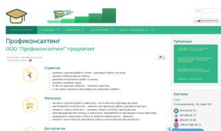 Профиконсалтинг